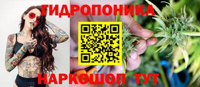 сатива Чапаевск
