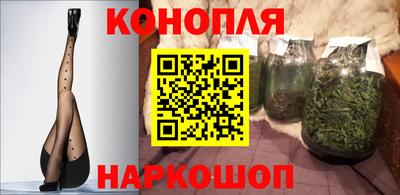 прущие грибы Чебаркуль
