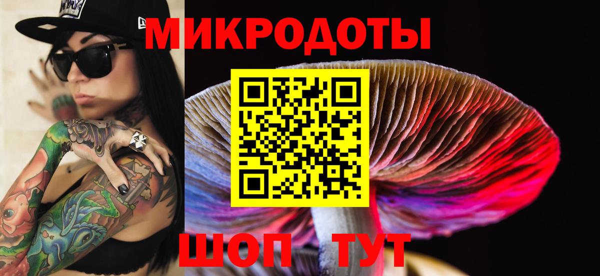 Псилоцибиновые грибы Cubensis  Вход с VPN  Артёмовский 