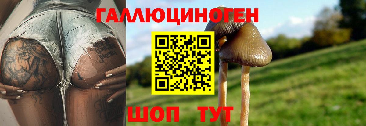 Галлюциногенные грибы прущие грибы Артёмовский