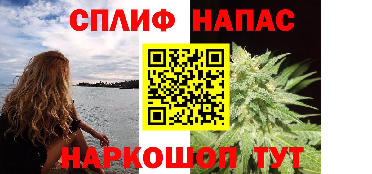 Каннабис индика Артёмовский